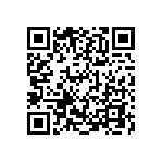 300AWSP4J2WHTM1QE QRCode