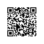 383LX153M080B062V QRCode