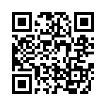 4-641243-1 QRCode