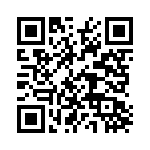 400294 QRCode