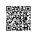 445C33E13M00000 QRCode