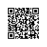 609175002010100 QRCode