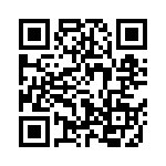 61030011010010 QRCode