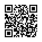 637P21256A3T QRCode