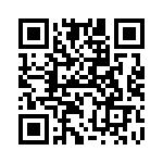 7381-4SG-300 QRCode