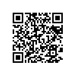 BCS-137-L-D-PE-031 QRCode