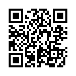 BDST29 QRCode