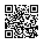 BFC233840333 QRCode