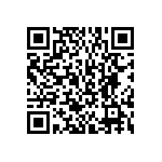 BKT-163-04-L-V-S-A-TR QRCode