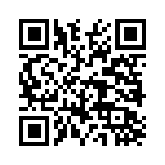 BPW38 QRCode