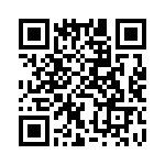 BVB01-Z0000-01 QRCode