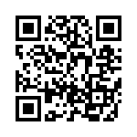 BZT55B11-L1G QRCode