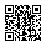 CW0101R300KE12 QRCode