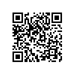 DW-04-09-T-D-300 QRCode