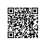 DW-04-13-G-S-950 QRCode