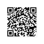 DWM-17-51-S-S-250 QRCode