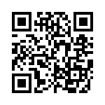 FCE17E09PB29B QRCode