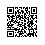 HCM493579545BBJT QRCode