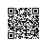 HE30807T1304PA6M QRCode