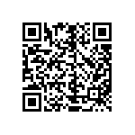 M55342K04B22H0PT0V QRCode