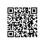 MCS04020D6041BE100 QRCode