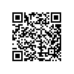 MKP385524100JPP4T0 QRCode