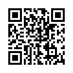 P4KE33A QRCode