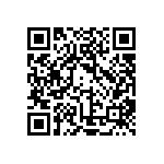 PP11-62-4-00A-34861-101-V QRCode