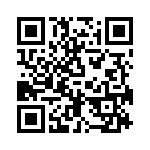 PT300-1200-VM QRCode