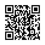 RJSSE706101T QRCode