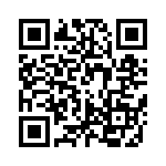 RK102PJ333CS QRCode