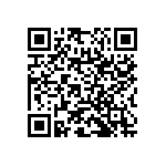 RNC55H1303BSRE6 QRCode