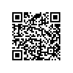 RNC55H1741BSBSL QRCode