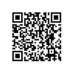 RNCF2512BTE4K99 QRCode