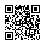 RT0102 QRCode