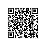 RT1206CRB07787KL QRCode