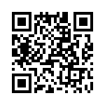 T38020-10-0 QRCode