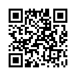 T38078-02-0 QRCode