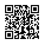 T38121-01-0 QRCode