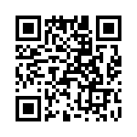 T38137-24-0 QRCode