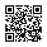 T38160-03-0 QRCode