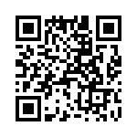 T38413-21-0 QRCode