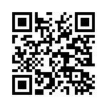 T38513-06-0 QRCode