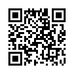 T38535-07-0 QRCode