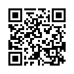 T38538-03-0 QRCode