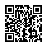 V110A15T300BS QRCode