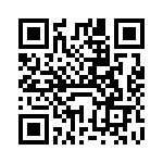 VE-JVM-IZ QRCode