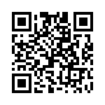 X9313WPIZ_222 QRCode