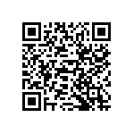 XQ4013E-4PG223M4307 QRCode