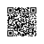 0505J2504P00BQT QRCode